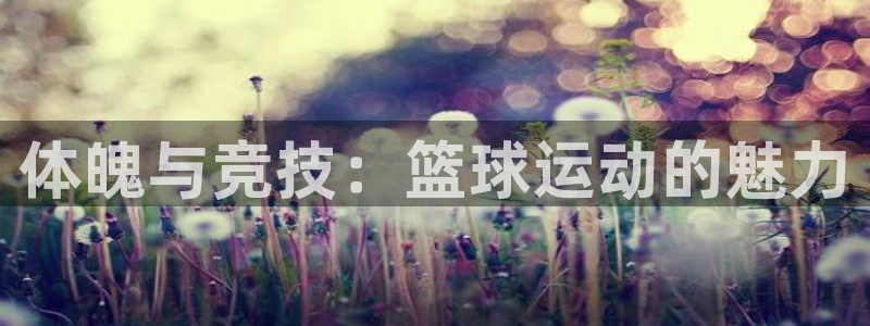 米兰体育官方正版app娱乐40996:体魄与竞技:篮球运动的