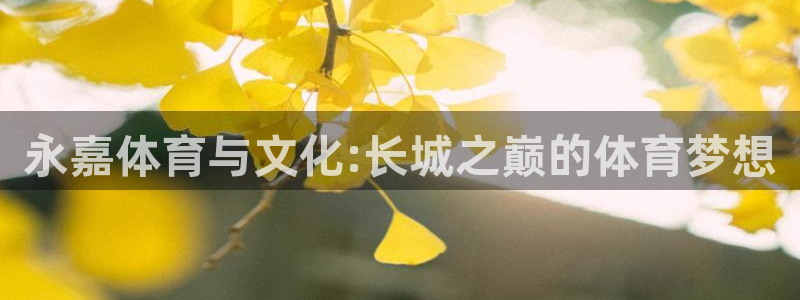 米兰体育官网下载招商电话是多少:永嘉体育与文化:长城之巅的体