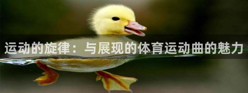 米兰体育官方正版app娱乐:运动的旋律:与展现的体育运动曲的